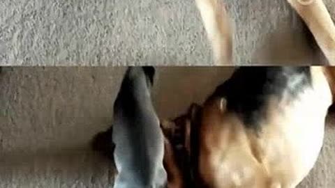 伟大的缺席 相关产品