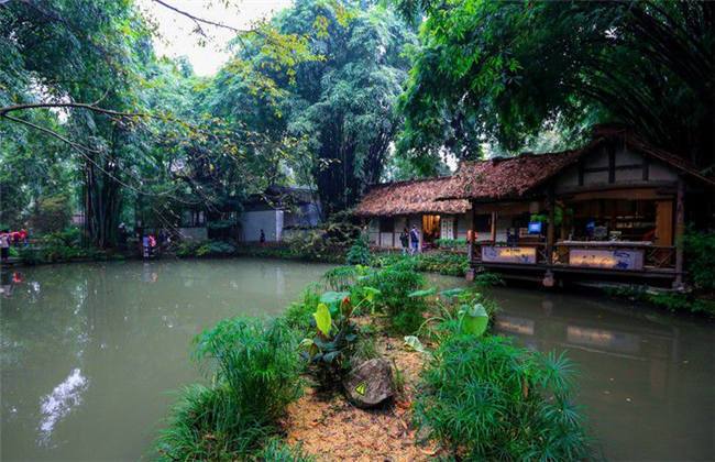 啄木鸟和雨 相关产品
