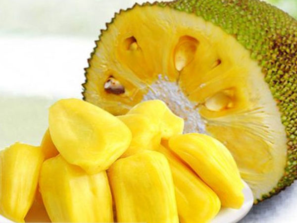 喋血外星人 相关产品