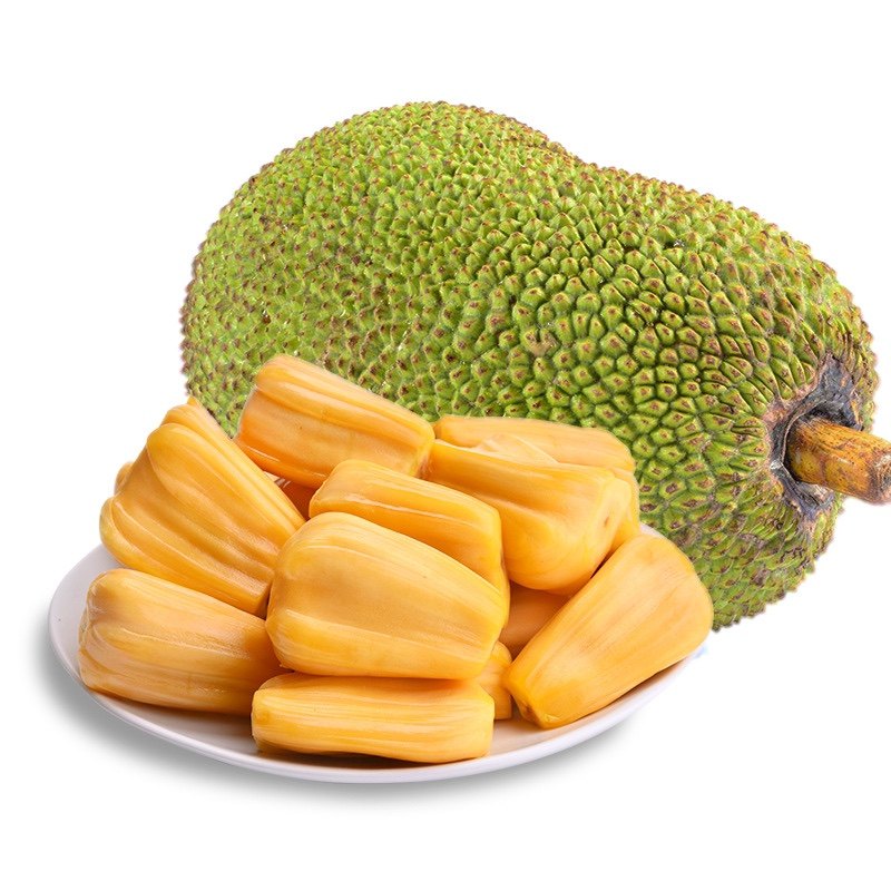 凋零在春天 产品图片