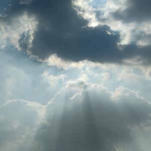 冬荫功 相关产品