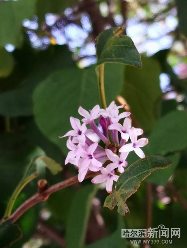 伴我纵横 相关产品