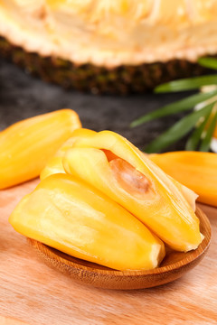 史前巨鳄2 相关产品