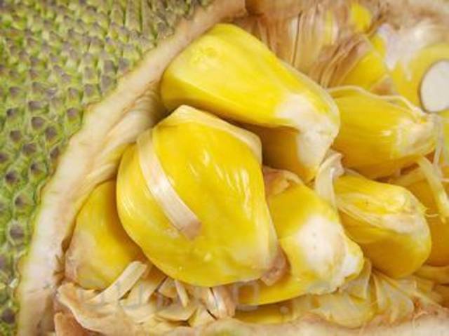 僵尸世界大战 产品图片