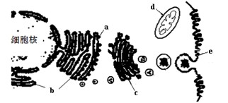 充气娃娃之恋 推荐产品
