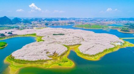 夜间屠杀 产品图片