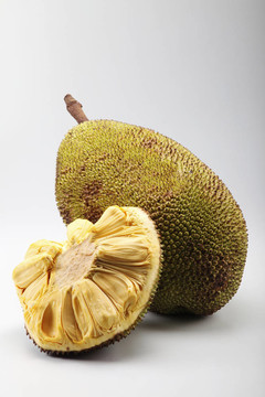 复活她 产品图片