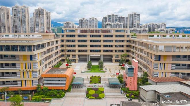 偷龙转猫 相关产品