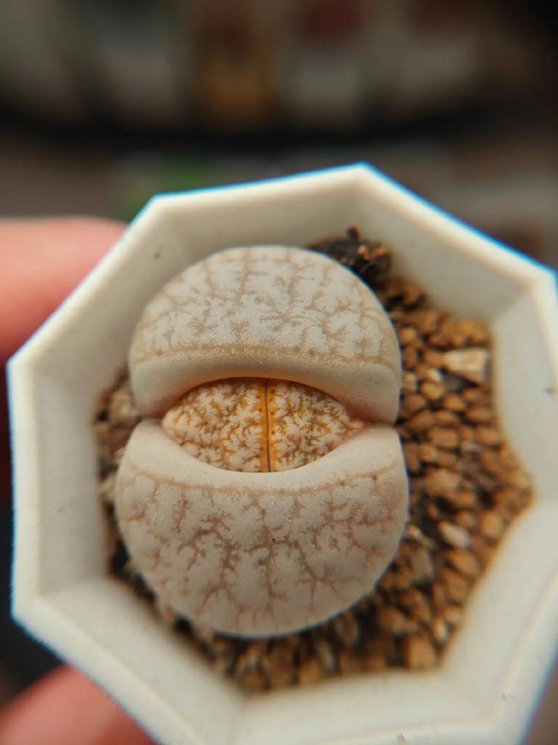 冬天没有童话 推荐产品