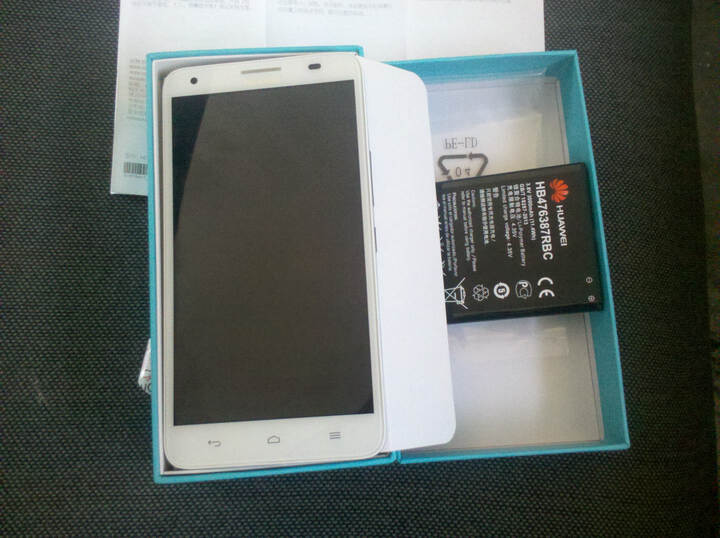 南拳北腿活阎王