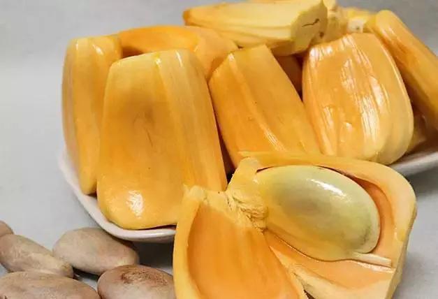 冰上轻驰 相关产品