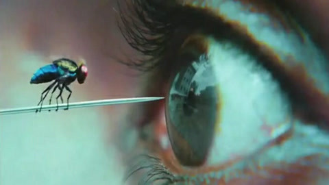 同一屋檐下 相关产品