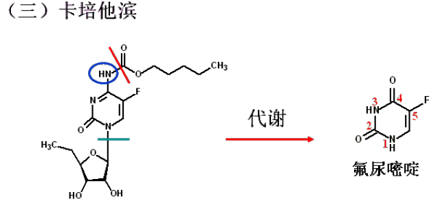俺物语 推荐产品
