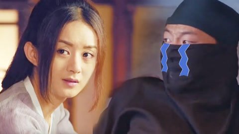 假日总动员 产品图片