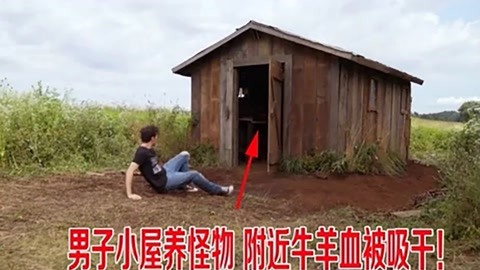 土路都有盐味道 产品图片