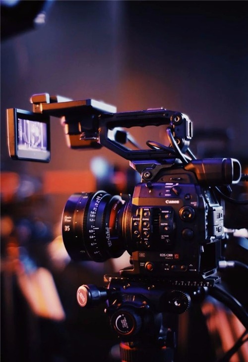 冒牌上帝 相关产品