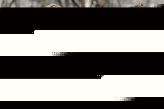 儿童捕手 相关产品