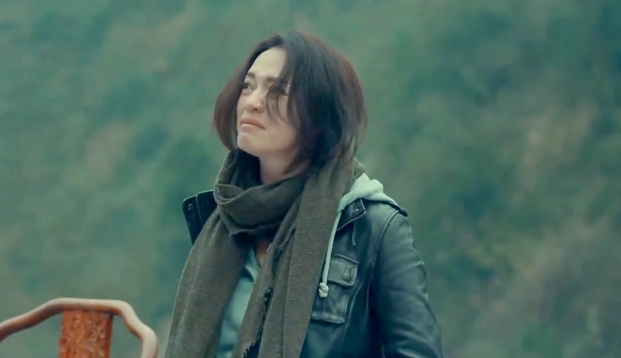 凤舞红尘 相关产品