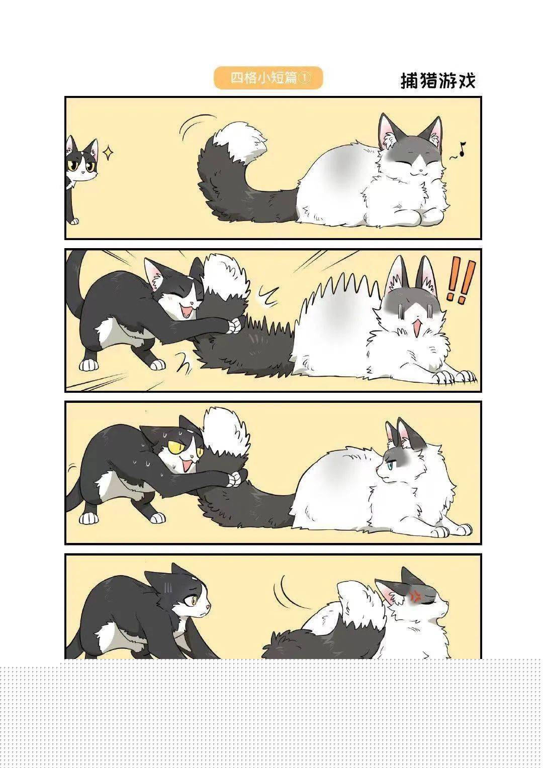 凤舞红尘 相关产品