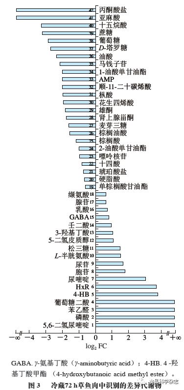 囧村逃亡2 产品图片