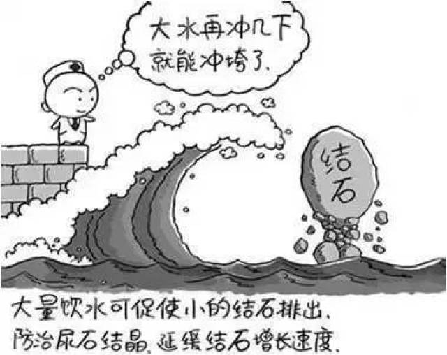 冰肤传说 产品图片