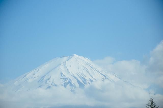 冒牌上帝 产品图片