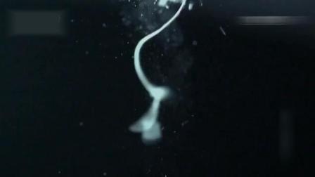 僵尸大屠杀 产品图片