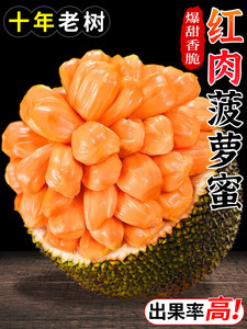 垫底俱乐部 产品图片