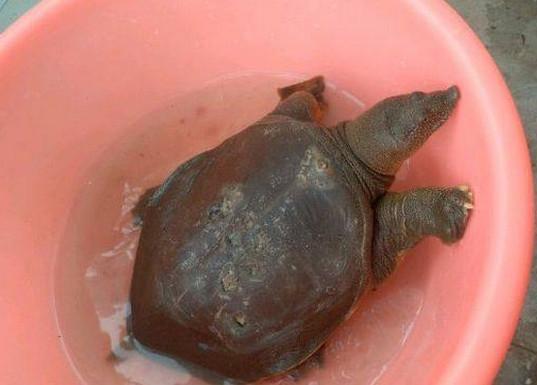 1刑的乌鸦 电影版 产品主图