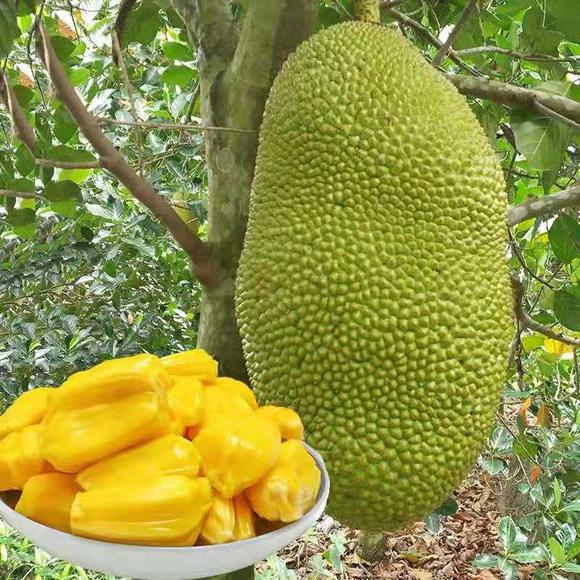 冷眼杀机 产品图片