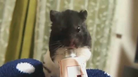 依莉丝 相关产品