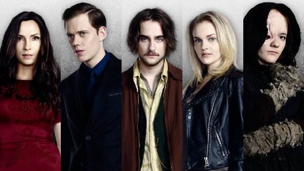 圣罗兰传 产品图片