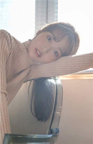 冰川鲨鱼 产品图片