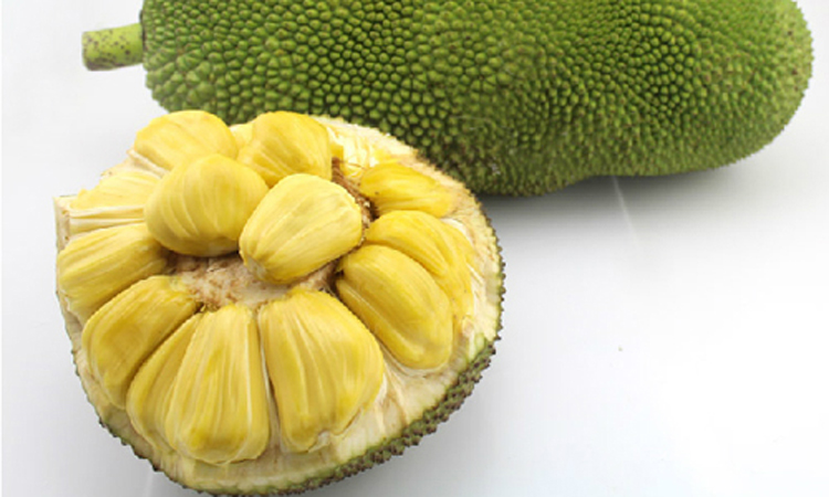 偷来的女儿 相关产品