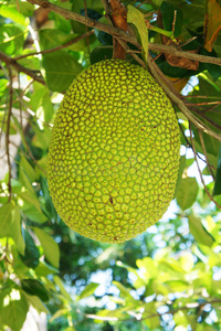 冰雪奇缘2 产品主图