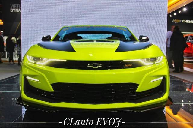 和巴什尔跳华尔兹 产品图片