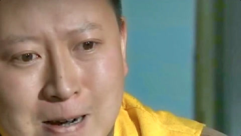 假如猫从世界上消失了 相关产品