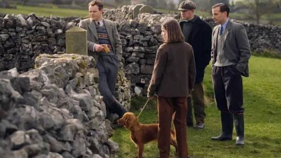 兄弟姐妹四十 相关产品