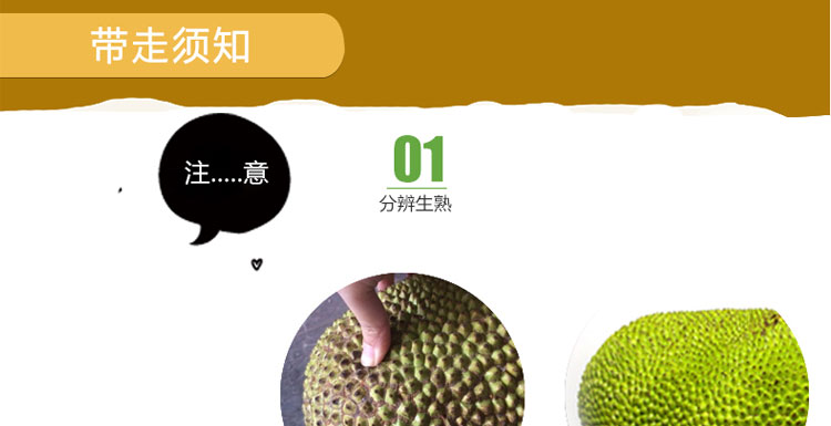 决战洛城 产品图片