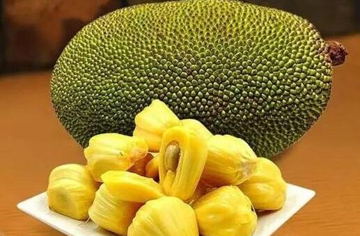 佩里亚复仇 相关产品