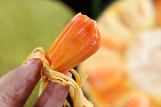 冷面虎 相关产品