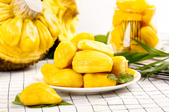 假日旅途：蒂罗尔之旅