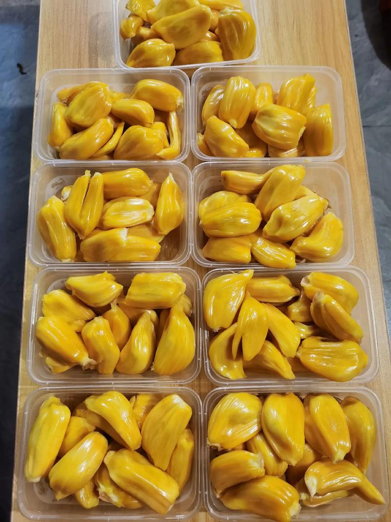 使徒保罗 相关产品