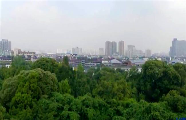 以早乙女香夏子为例 相关产品