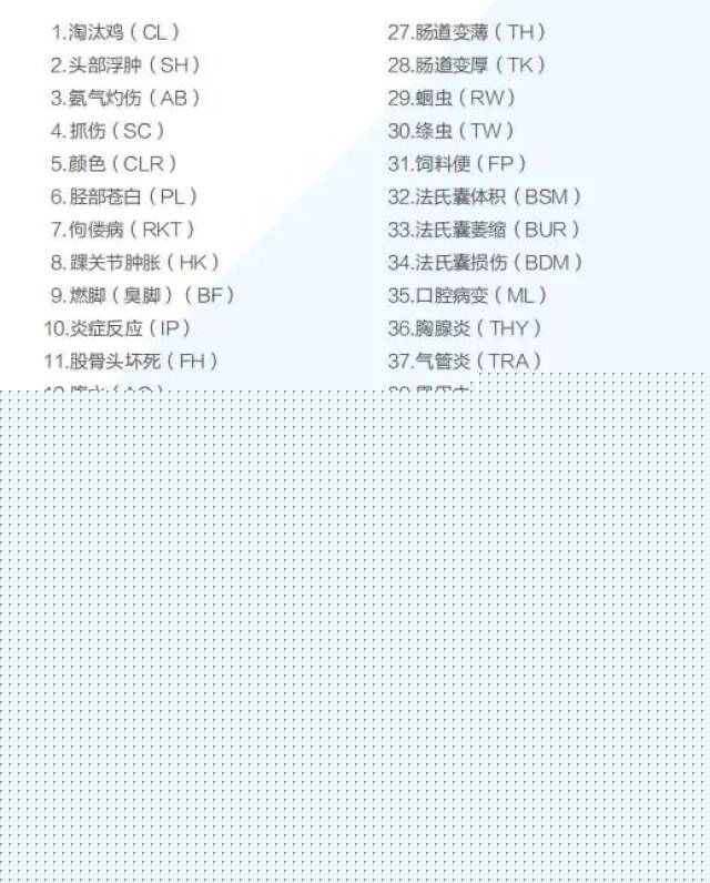 响尾蛇 推荐产品