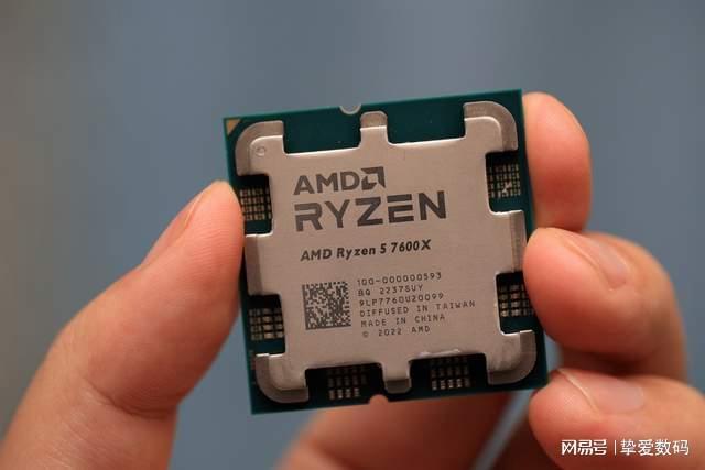 啄木鸟和雨 相关产品