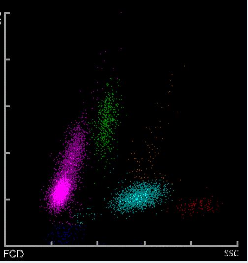 保你平安 相关产品
