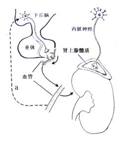 停尸房收藏 推荐产品