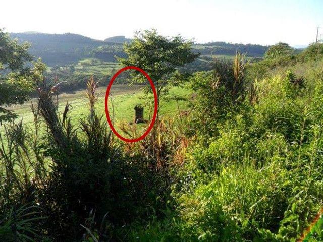 圣诞玫瑰(粤语版) 推荐产品