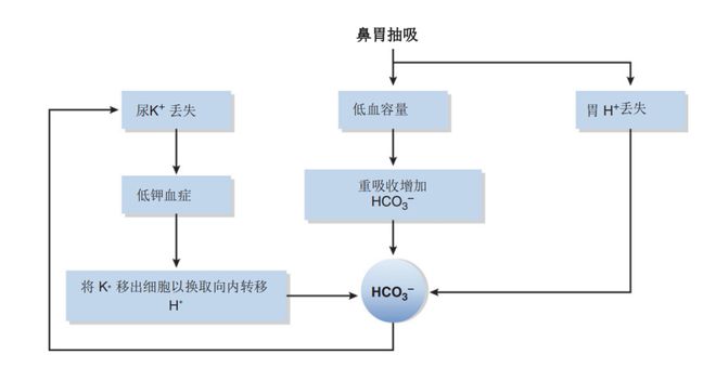 元首偷走了粉兔子 相关产品